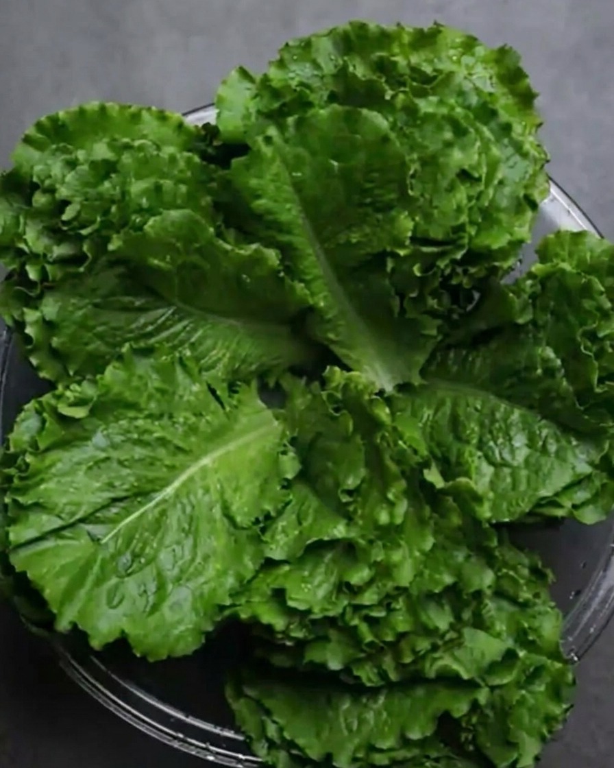 Foglie di lattuga verde brillante ammucchiate in una ciotola di vetro dopo essere state lavate.