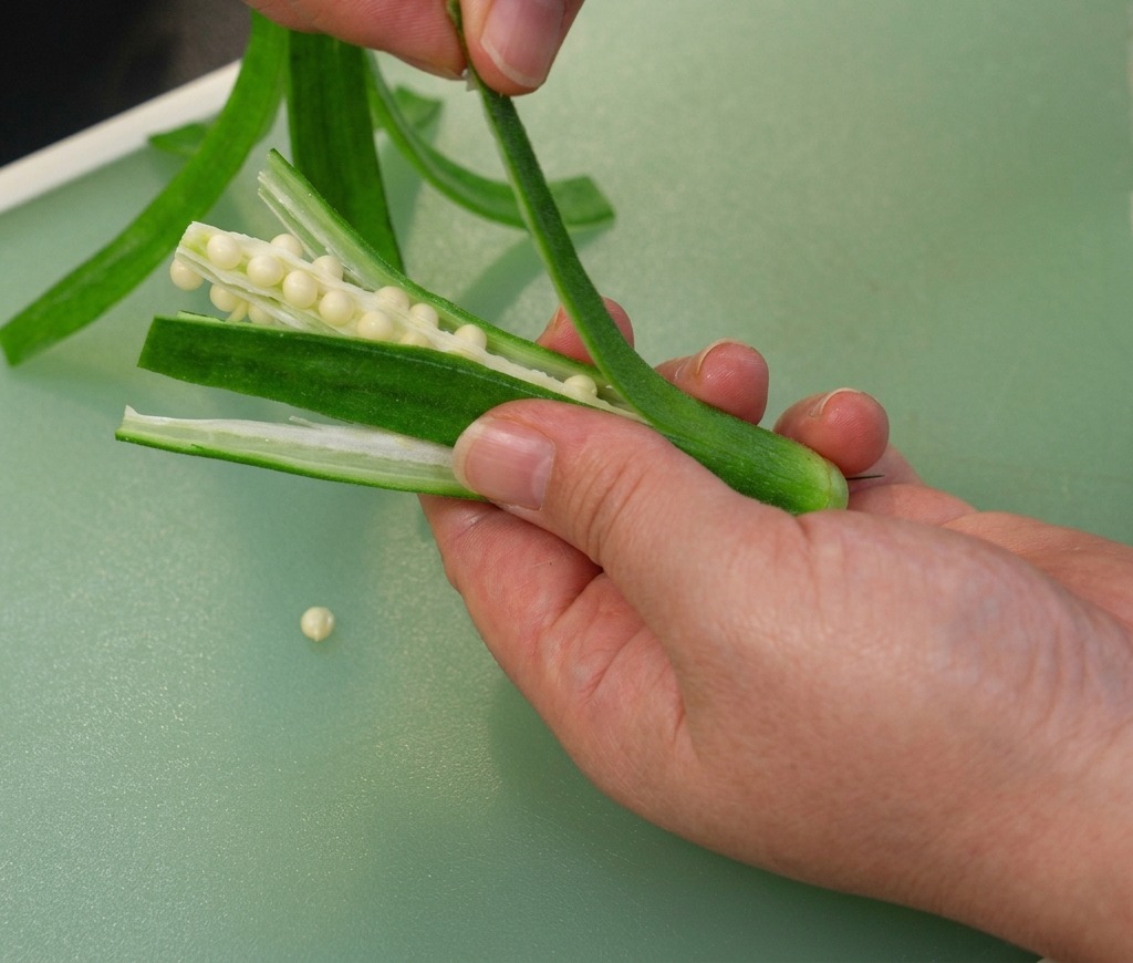 Primo piano di mani che estraggono il nucleo pieno di semi dal centro di un baccello di okra tagliato.