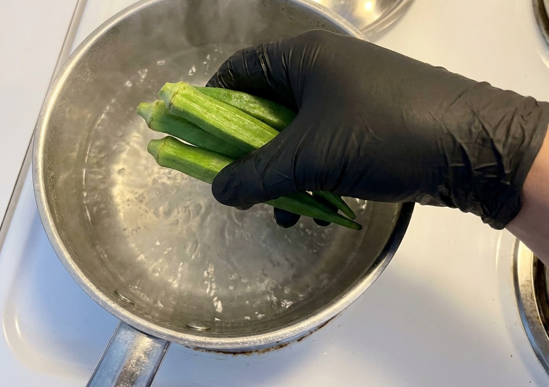 Una mano con i guanti mette baccelli di okra verde interi in una pentola di acciaio con acqua bollente.