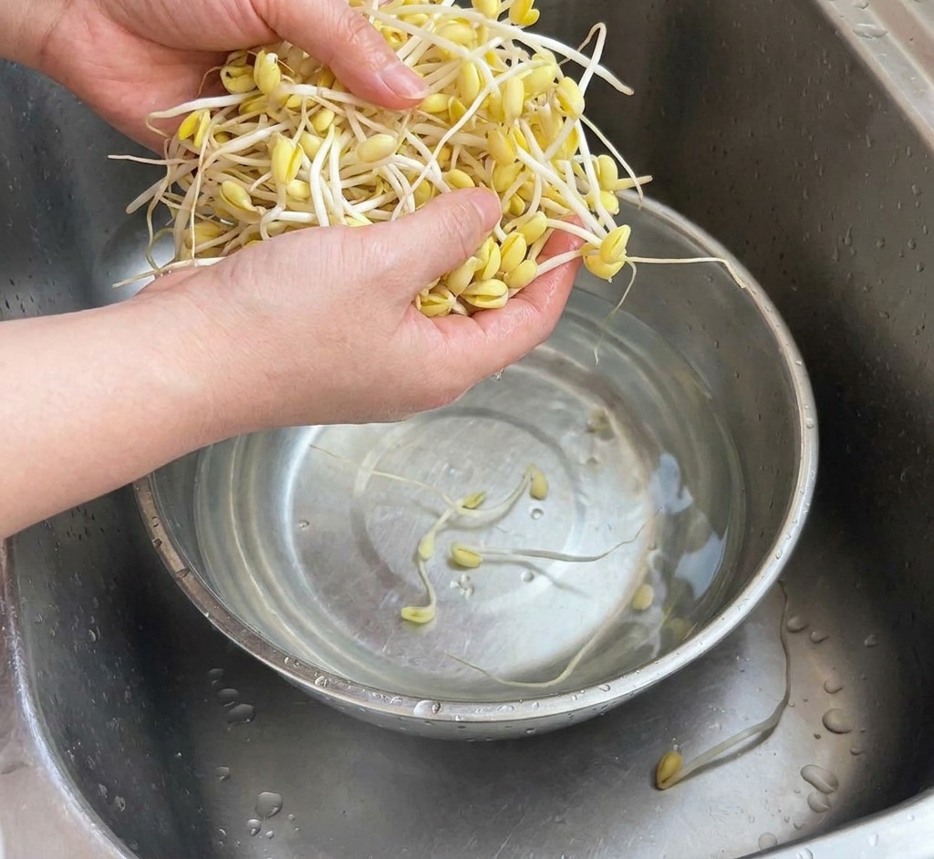 Mani che sciacquano un mazzo di germogli di soia gialla in una ciotola dacciaio sotto lacqua corrente.