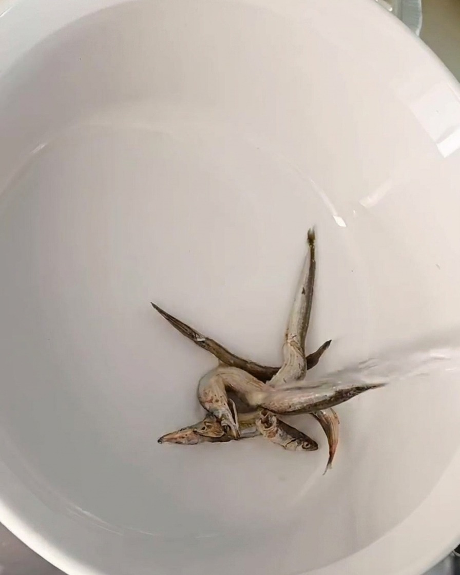Acciughe essiccate sul fondo di una pentola di ceramica mentre viene versata lacqua.