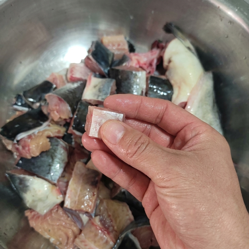 Una mano che tiene un pezzetto quadrato di pesce gatto crudo, con una ciotola di pezzi tagliati sullo sfondo.