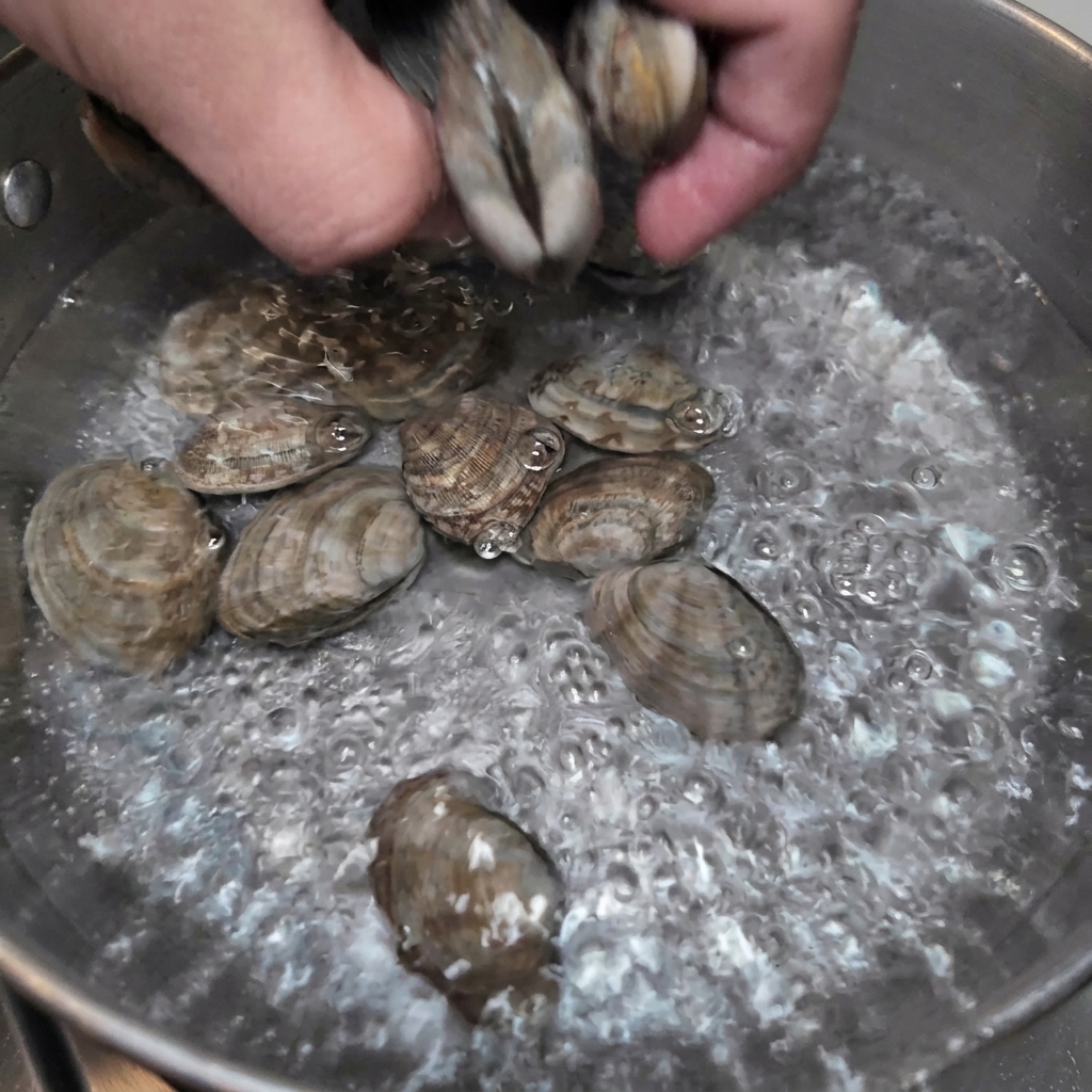 Una mano che versa le vongole fresche in una pentola di acqua in ebollizione.