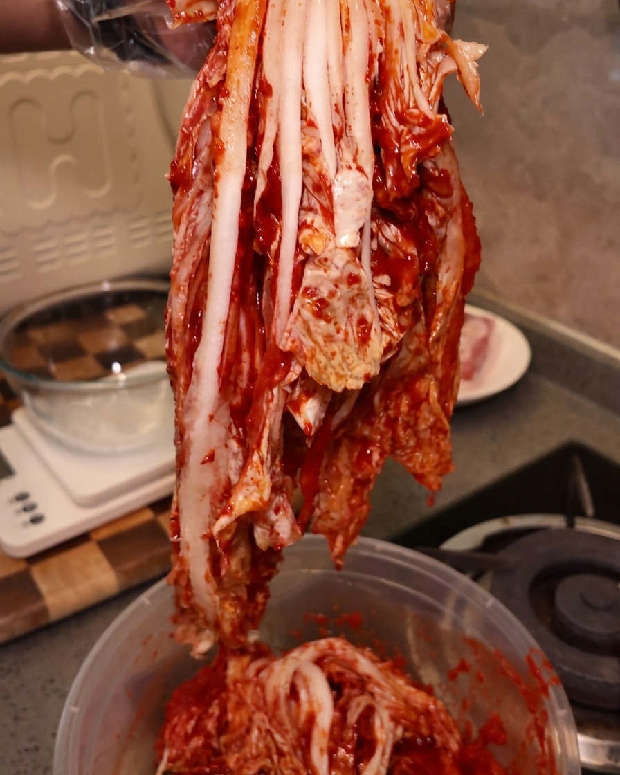 Un grande pezzo intero di kimchi acido rosso brillante sollevato da una mano guantata.