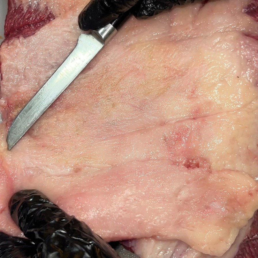 Sale marino grosso versato uniformemente sopra la superficie del brisket di Wagyu rifilato.