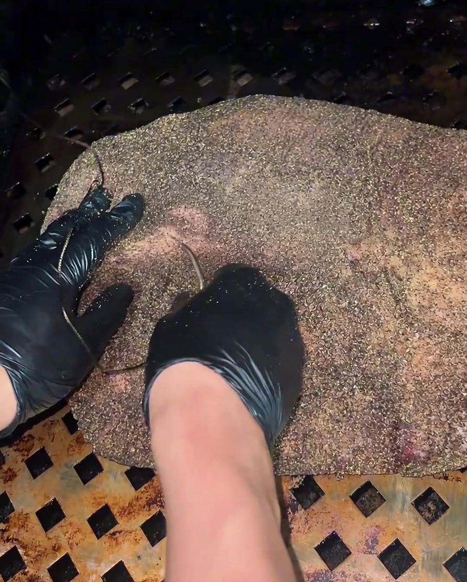 Uno spruzzino che nebulizza la superficie del brisket che si sta scurendo nellaffumicatore.