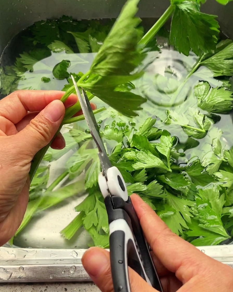 Mani che usano forbici da cucina bianche e nere per tagliare le foglie di sedano verde brillante dai gambi sopra un lavello in metallo.