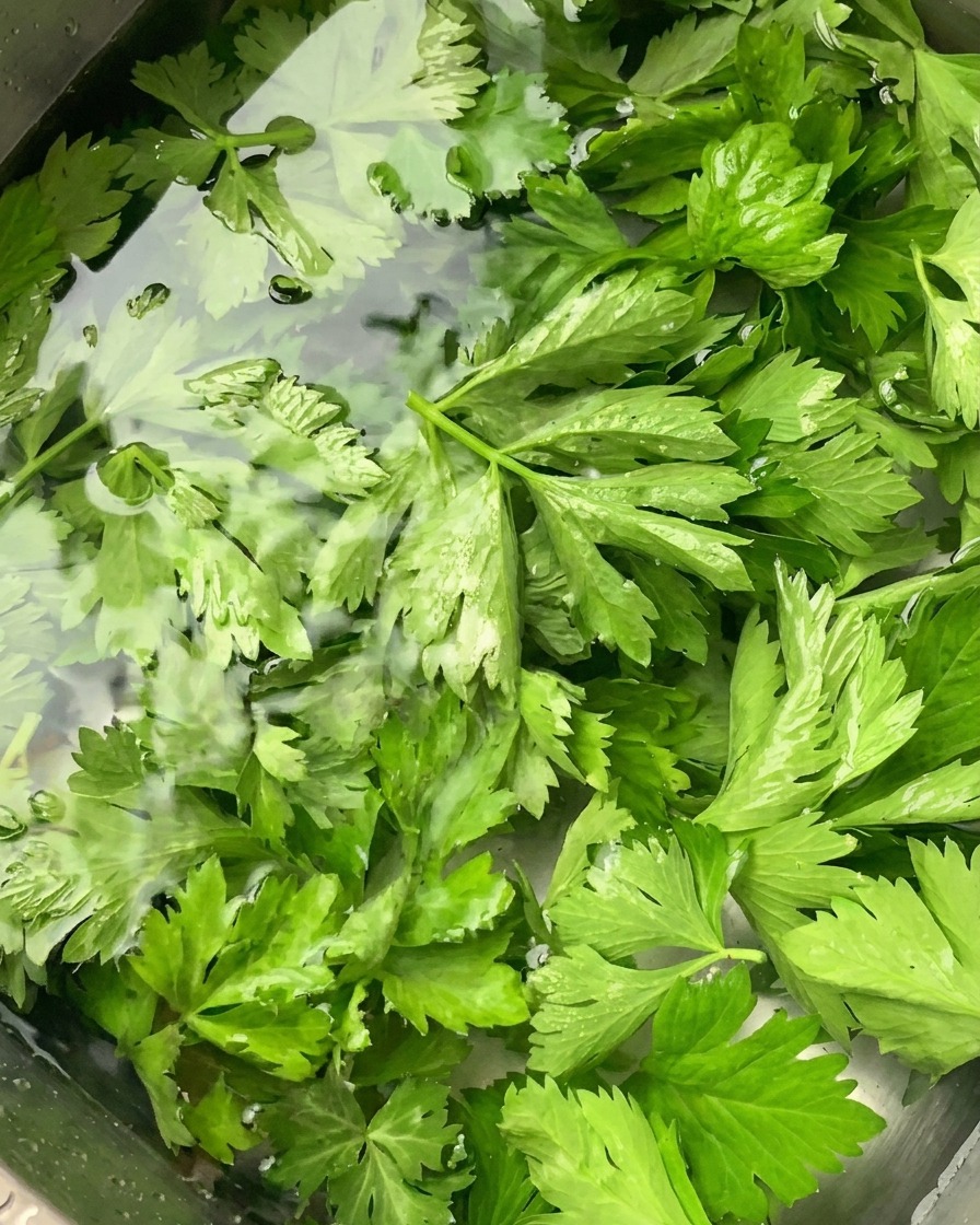 Foglie di sedano verde fresco in ammollo in acqua limpida allinterno di un lavello da cucina in acciaio inossidabile.
