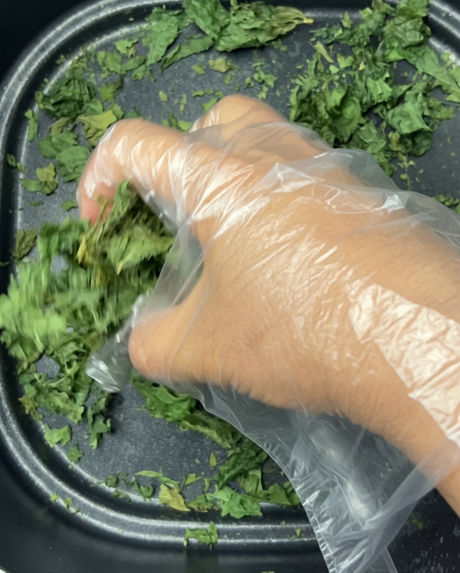 Foglie di sedano secche e croccanti sbriciolate da una mano guantata allinterno del cestello nero della friggitrice ad aria.