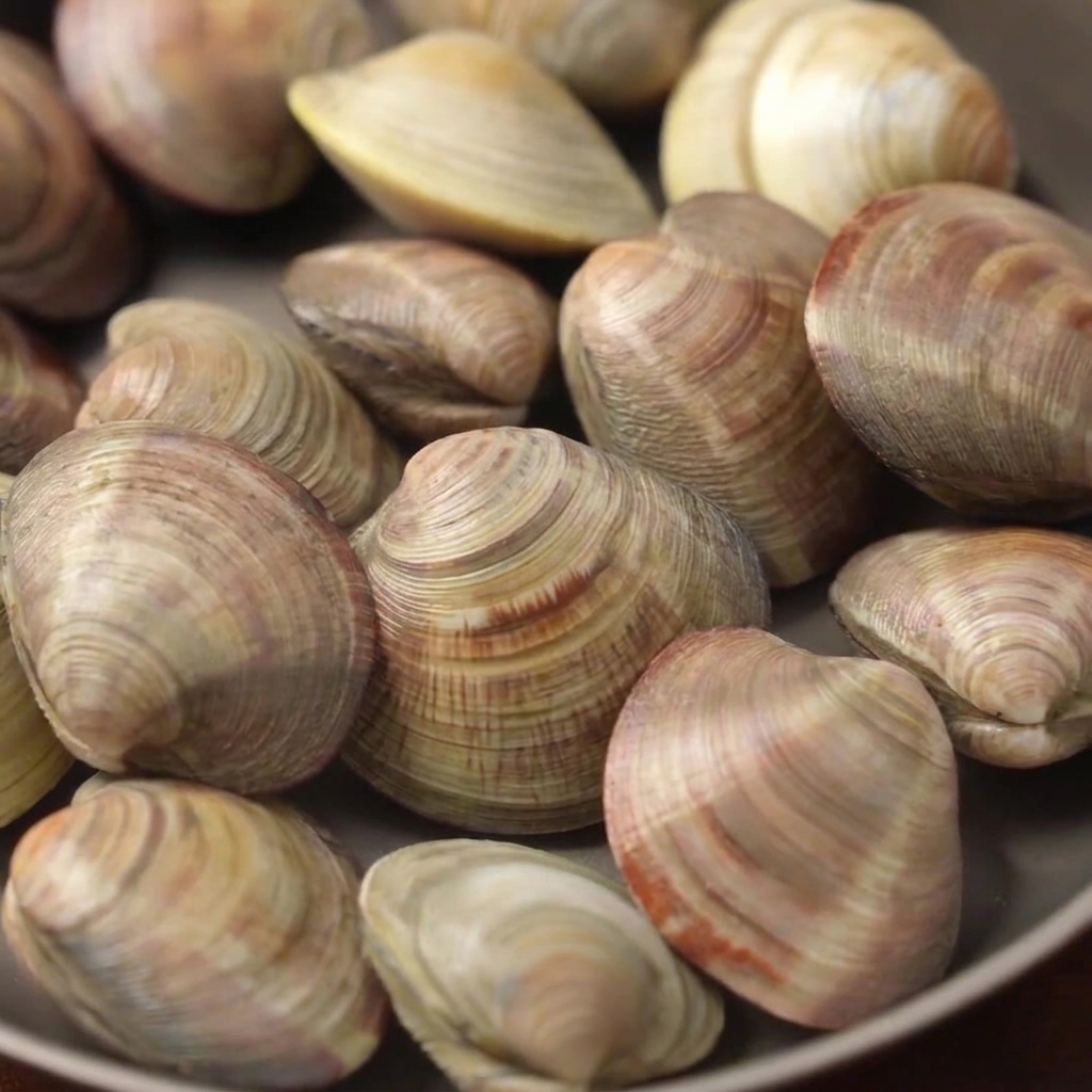 Vongole in una pentola piena dacqua, fette di limone e vino bianco in cottura a fuoco medio.