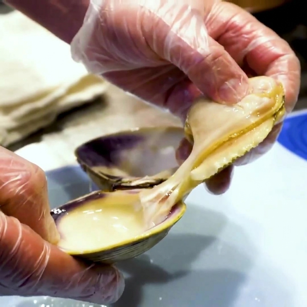 Mani con guanti che separano la carne cotta delle vongole e rimuovono gli organi interni scuri.