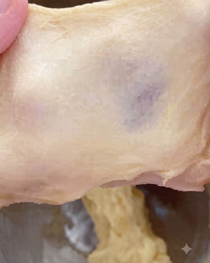 Un pezzo di impasto tirato per mostrare una consistenza spessa, leggermente ruvida e un modello di strappo.