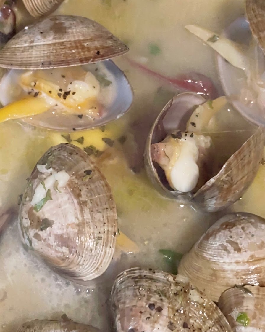 Una padella coperta da un coperchio mentre le vongole cuociono a vapore e sobbollono nel brodo fino allapertura dei gusci.