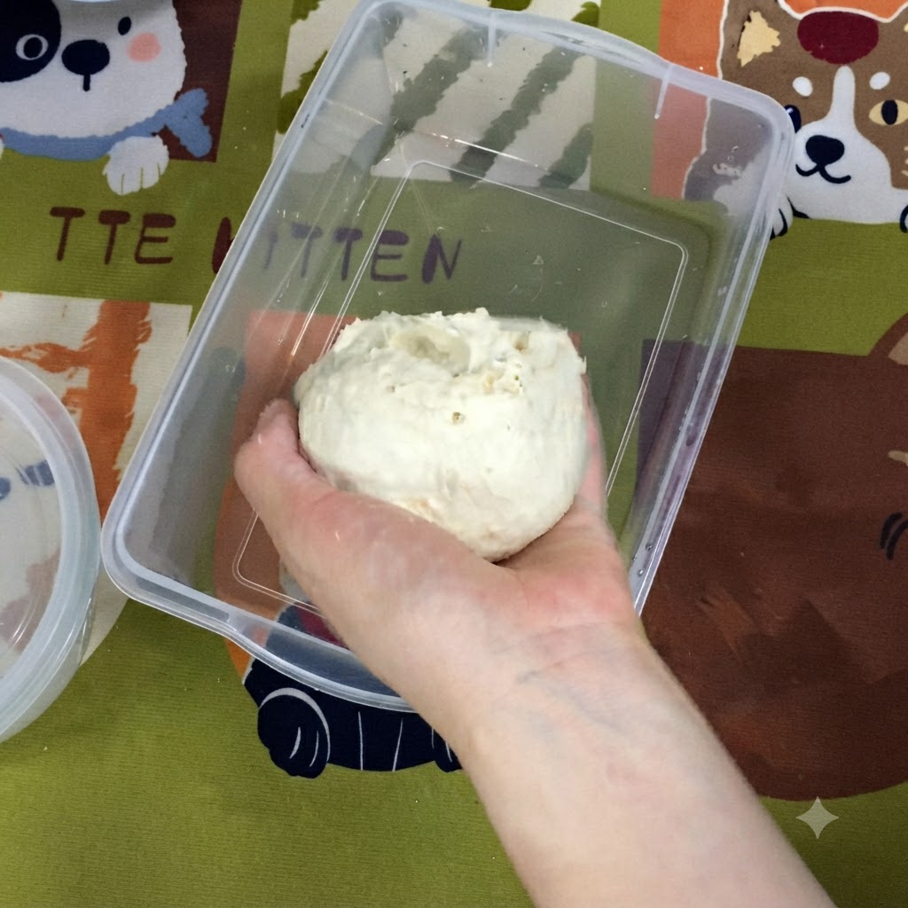 Una mano che posiziona una palla di impasto liscia e rotonda allinterno di un contenitore di plastica rettangolare per alimenti.