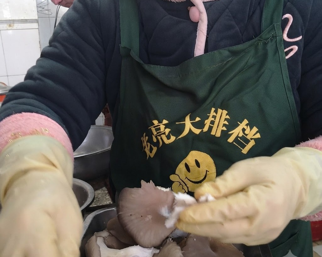 Mani che indossano guanti protettivi gialli che strappano funghi pleurotus freschi in singole strisce.