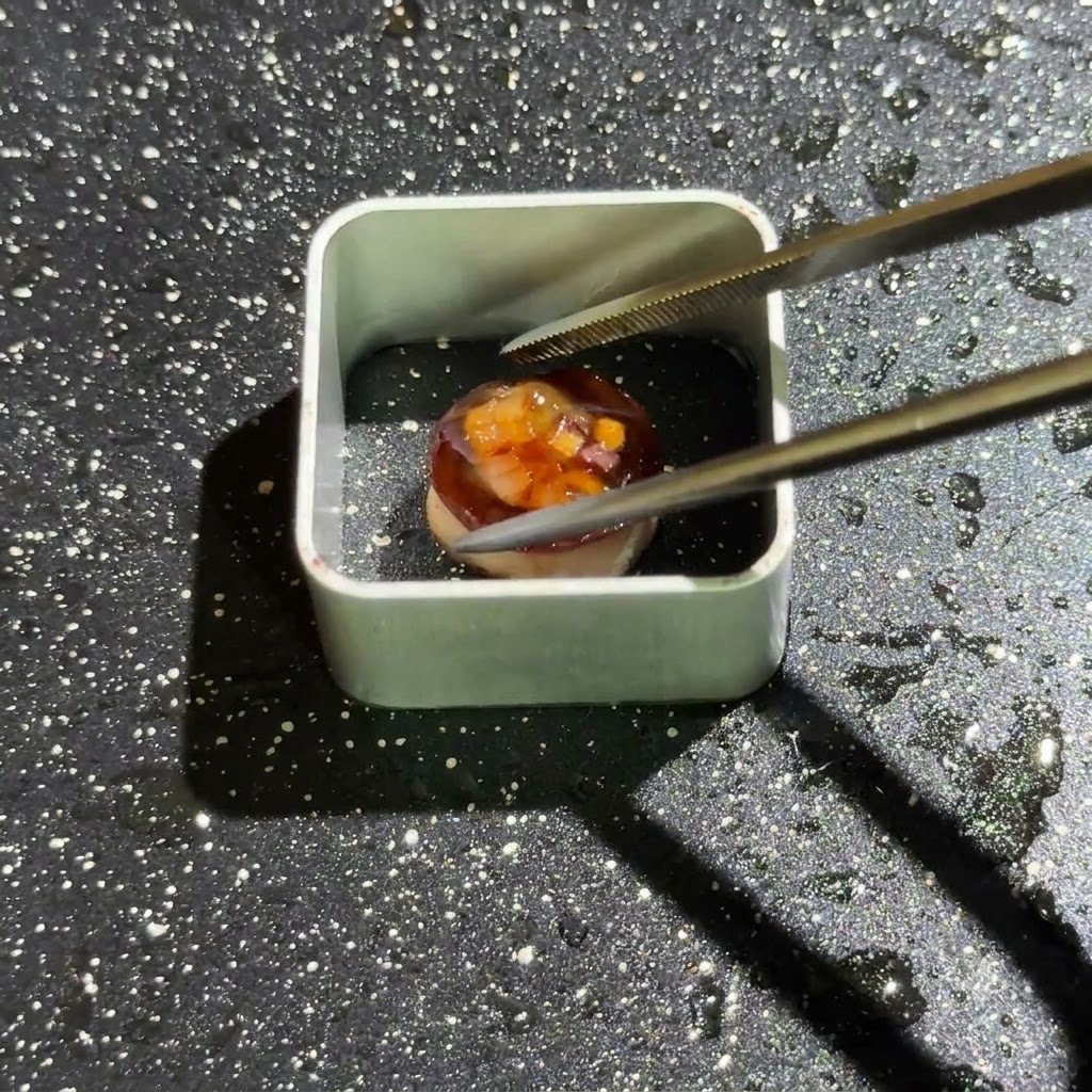 Uno stampo quadrato in metallo posizionato in una padella oleata con un piccolo componente di fungo posizionato allinterno usando delle pinzette.